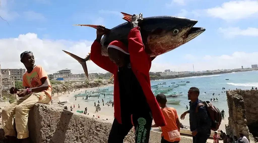 1979年，索马里向我国付了一半定金，购买了24架歼6战斗机，哪知道，战斗机交货