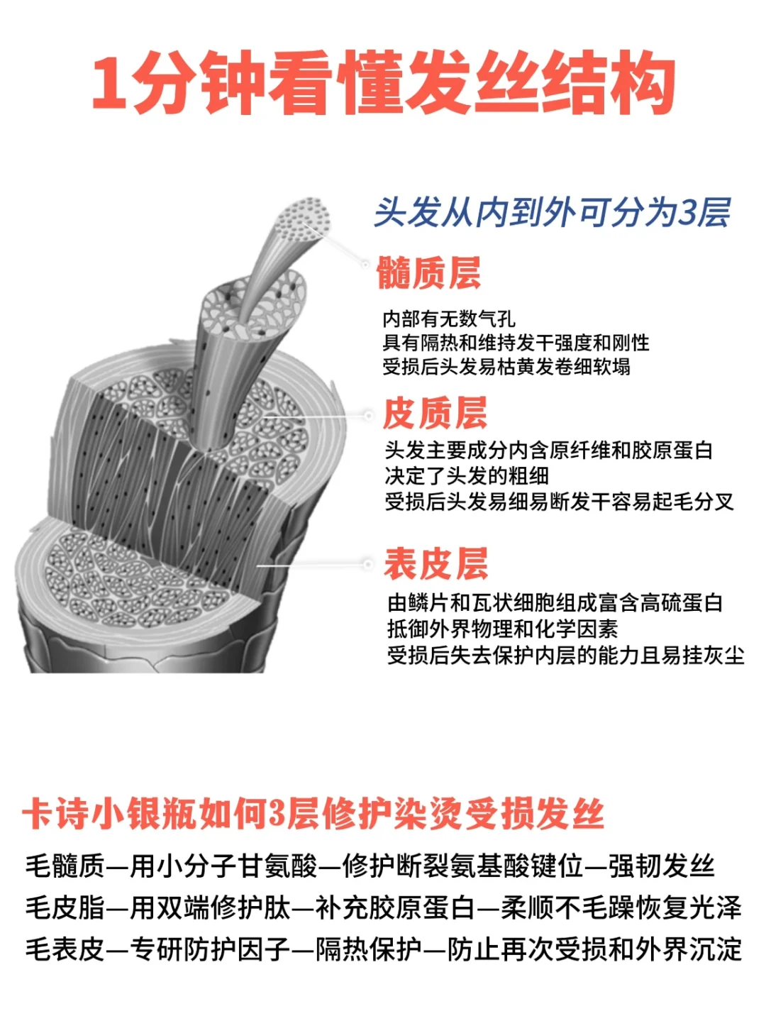 如果用这头发都修护不好，建议甘露寺出家！