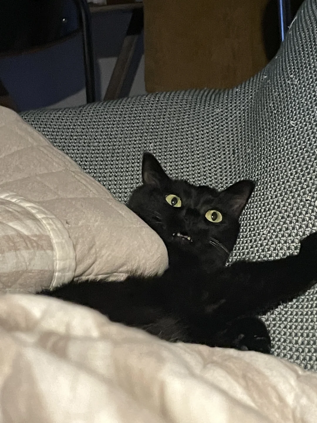 诶？我觉得越来越不对劲了