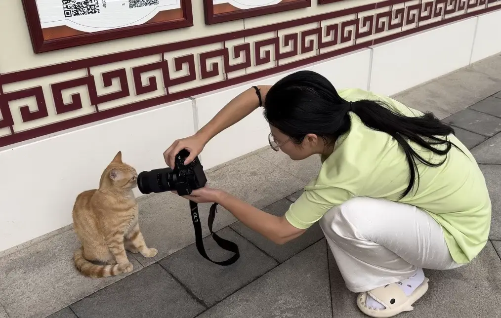 🐱：我真是服了，你个老6。