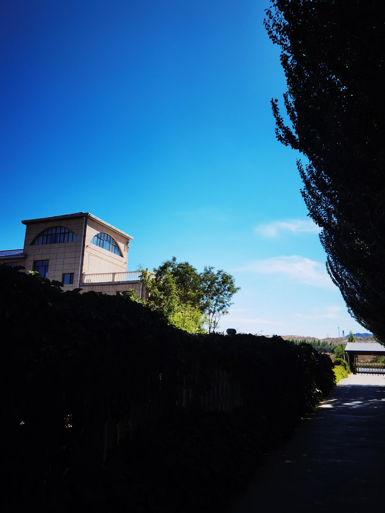山丘一小屋
蓝天做背景
屋前有棵树
树接天际边
住在小屋看
云卷云舒展
风景这边