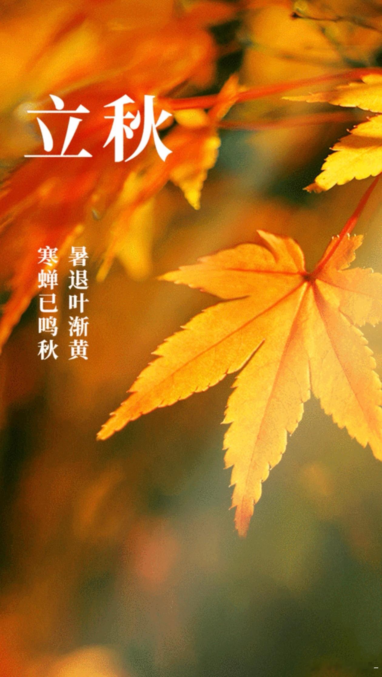 立秋，是“二十四节气”之第十三个节气，也是秋季的起始。期货