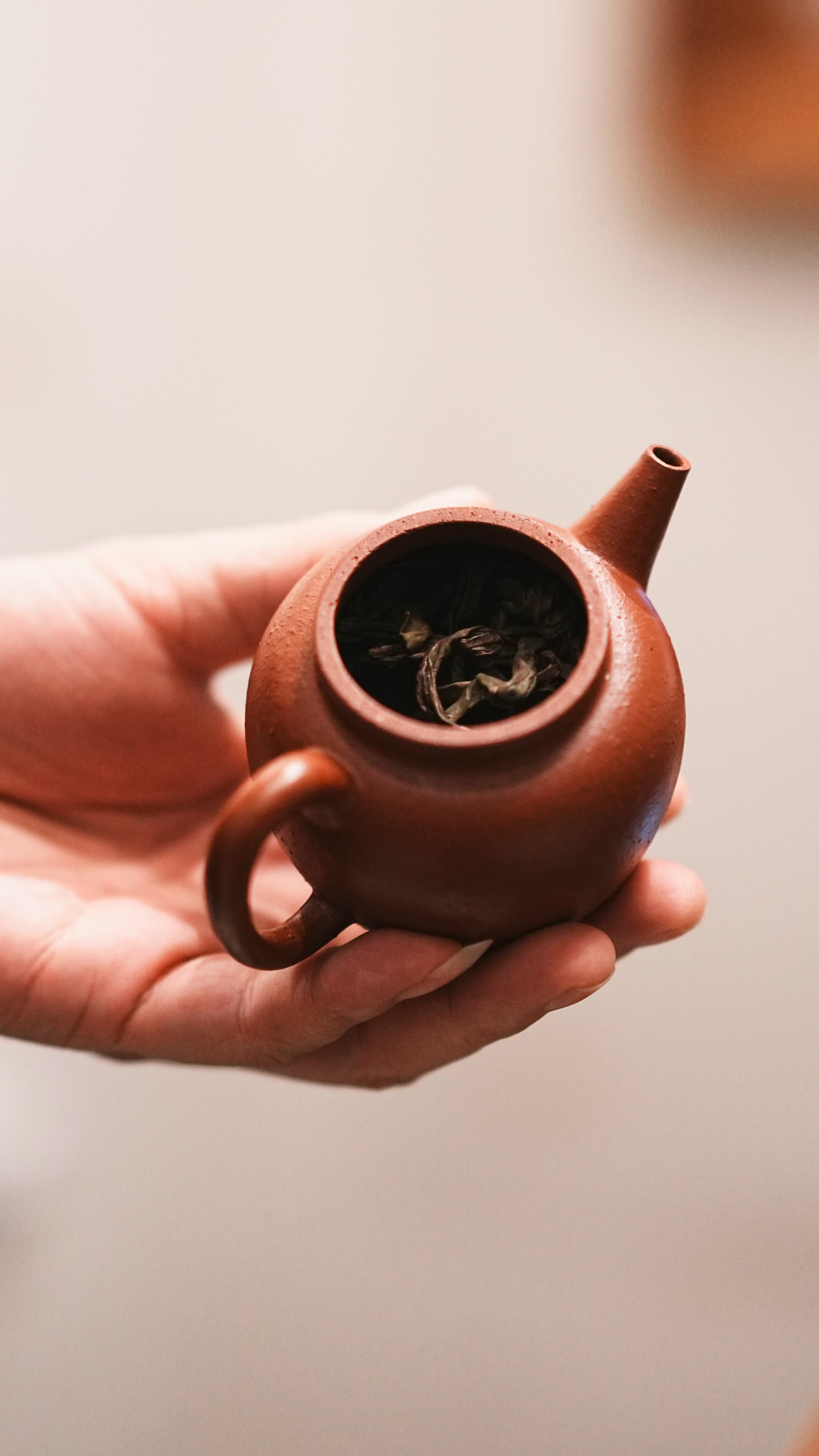 茶尽了，心事却淡了，这便是深夜的慈悲。 福鼎