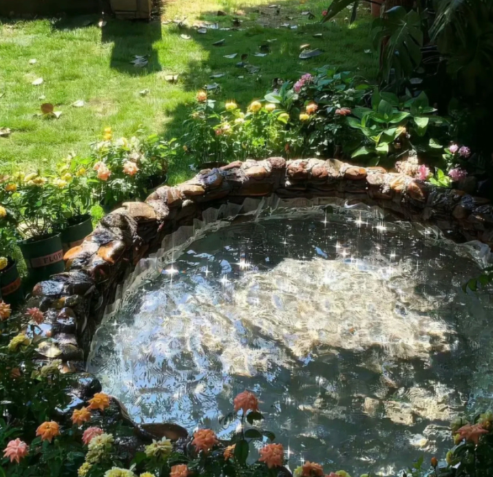 每日一善阳光信用🌓🌓每日一善   勿起不善之念,勿阅不善之书,勿听不善之乐,