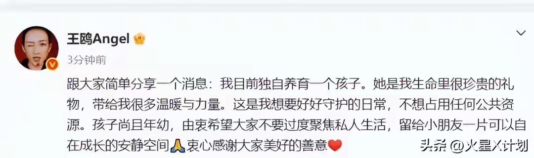 聚光灯暗下来的那一刻，王鸥才终于说出了那句话。这个在荧幕上演绎过无数种人生的女人