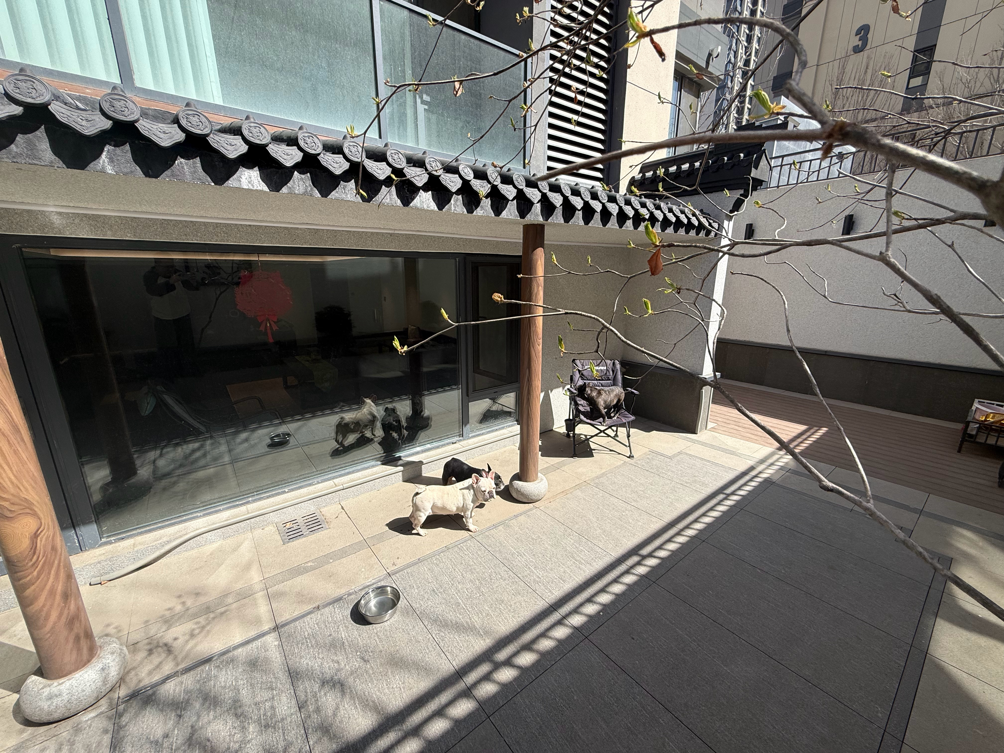 周末好好休息休息！后天又出发了🛫 沈阳