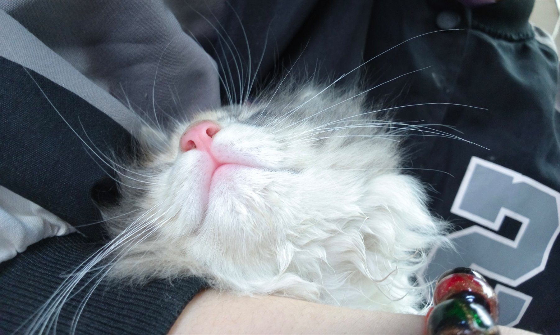 一个字萌，两个字很萌，三个人非常萌，四个字超级巨萌，五个字霹雳无敌萌，六个字超级