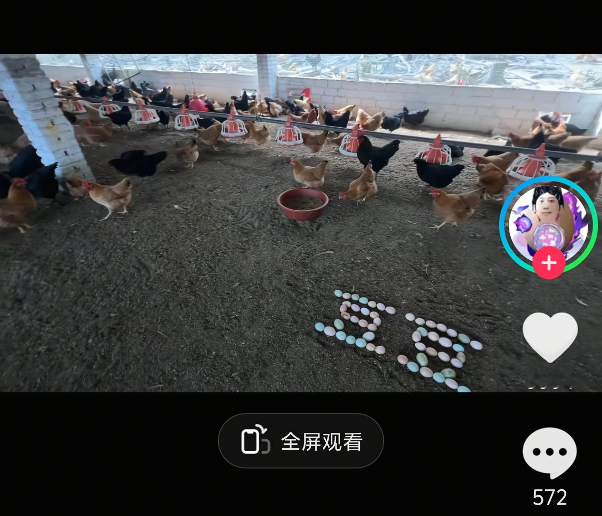 这是我给张极白嫖的鸡圈代写 