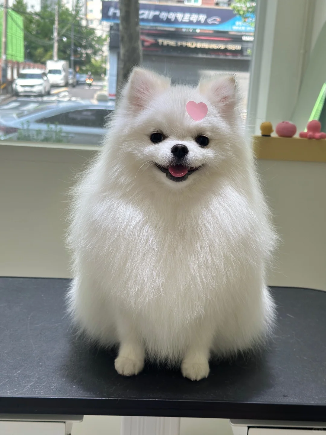 给大家拜个早年🧧