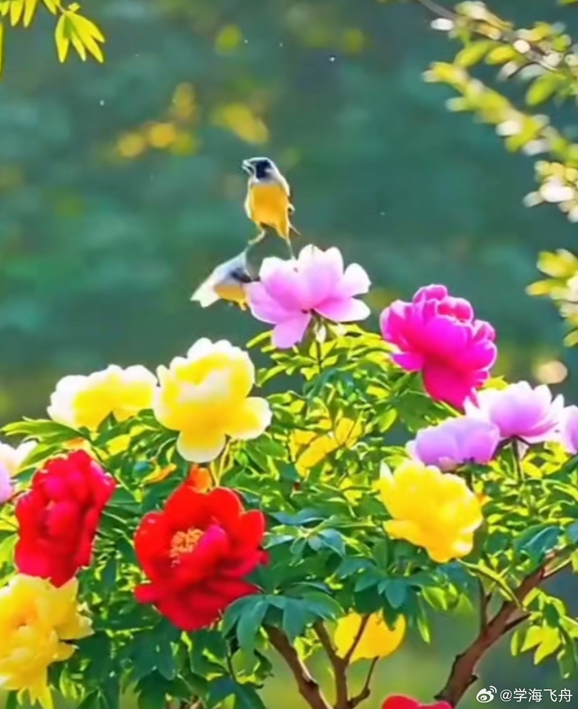 今天A 股大盘修复性反弹：东方财富App 显示的 10 项指数全体上涨收红，上证