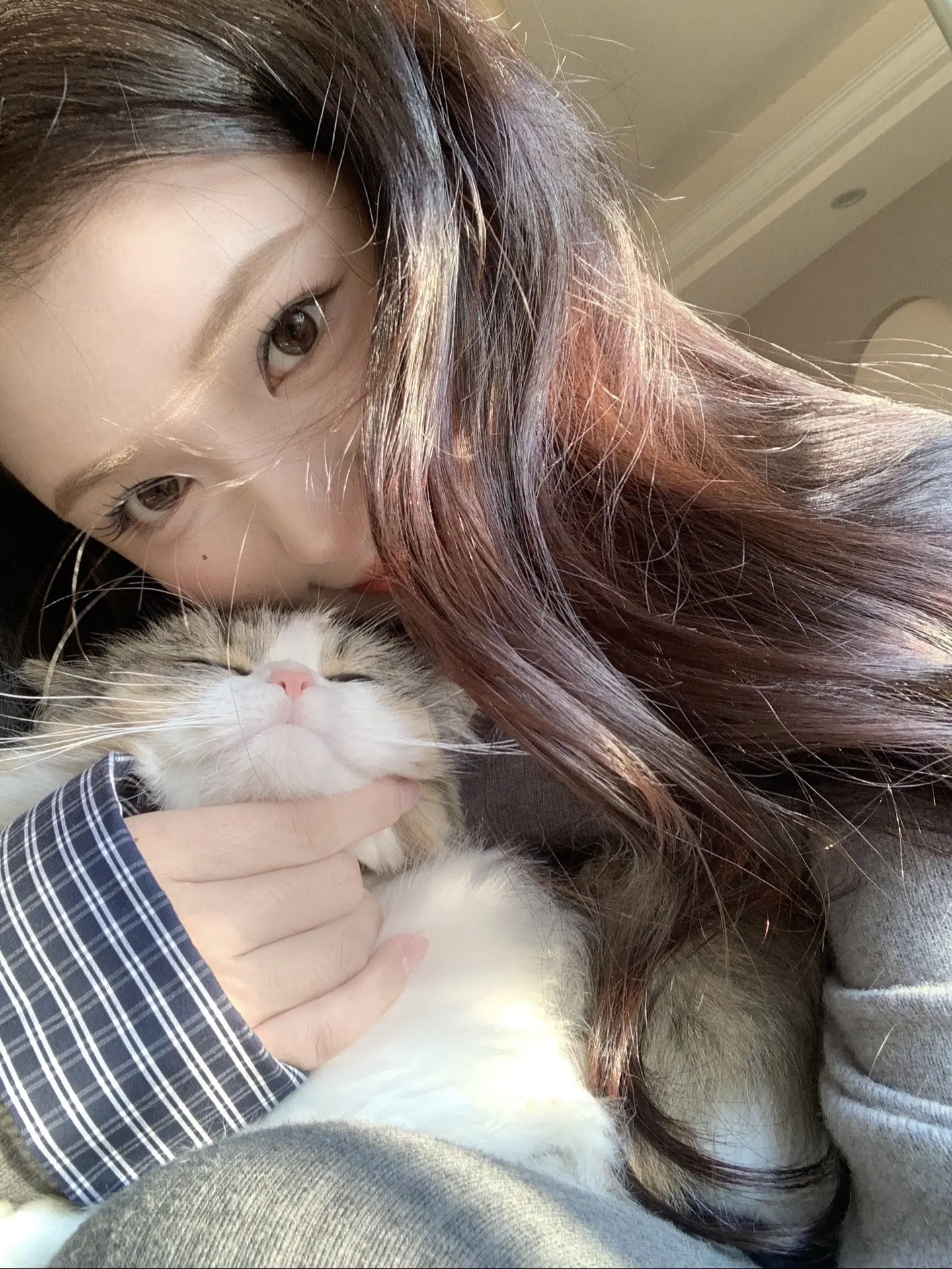 ฅ՞••՞ฅ嚼嚼嚼