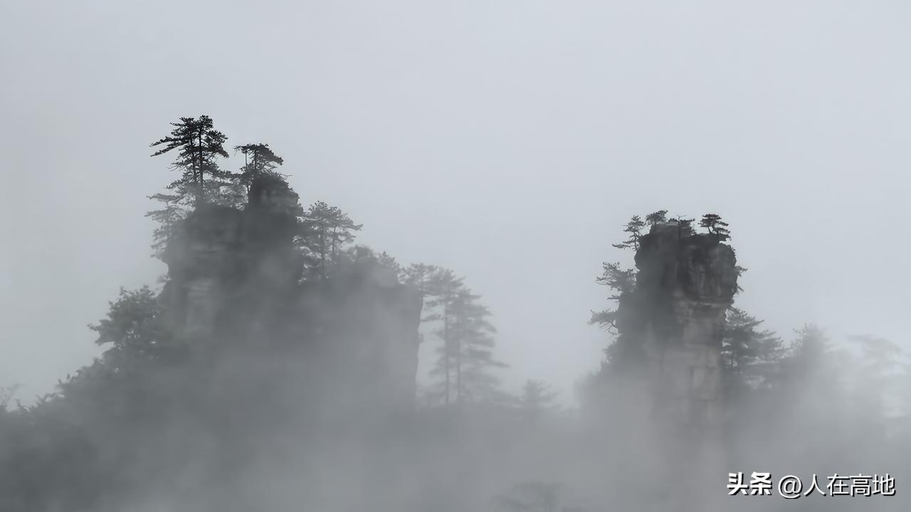 【云斋札记】刘义庆在《世说新语》中记了一段有关王羲之家的故事：王右军郗夫人谓二弟