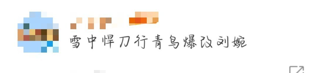 雪中悍刀行青鸟爆改刘婉  青鸟你让我感到眼前一亮[憧憬][憧憬]飒爽英姿的青鸟摇