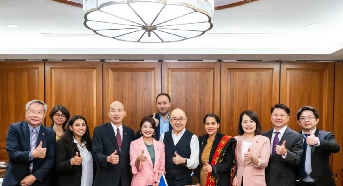 去年的热度还没褪下，今年又一批西方议员陆续出现在台湾，这股风潮怎么看怎么别扭。前