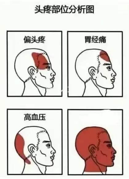 跟杠精聊天时！！！！