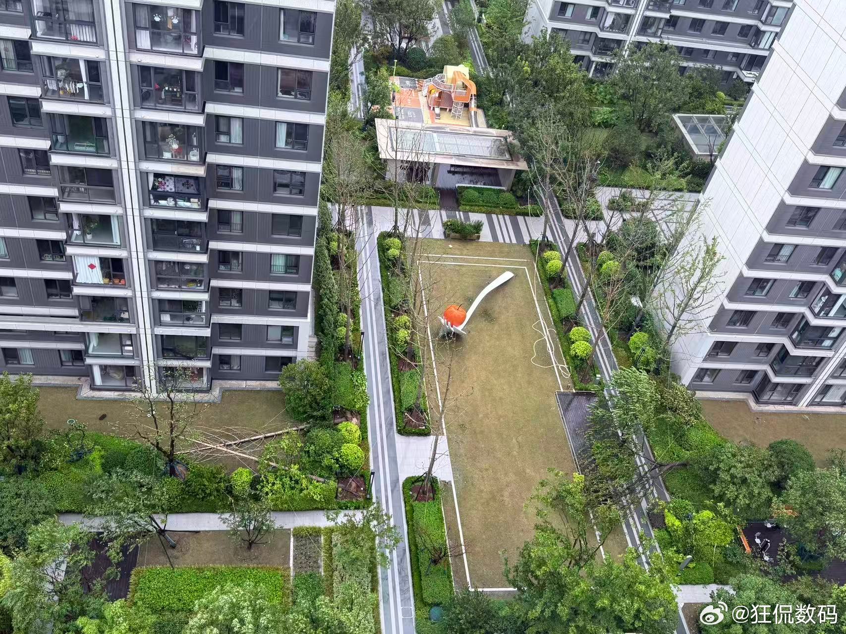 白海豚 上班 小区里倒了四棵树，还好早上公司通知非必要不用去公司，可以居家办公
