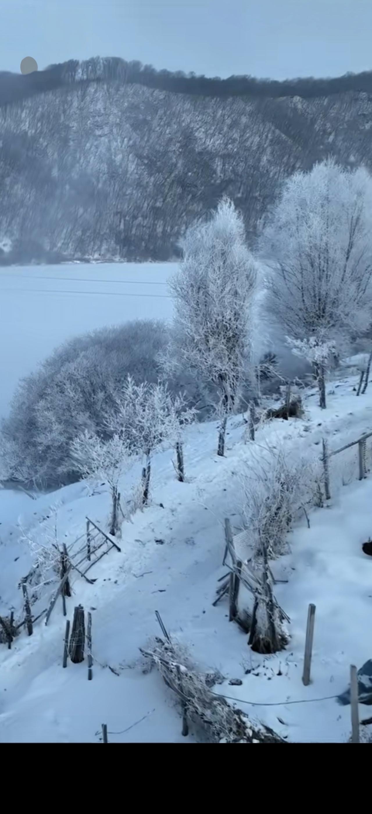 与痛风斗争的历程152
 
   早上醒来，右膝盖依旧隐隐作痛，痛风又找上门来。