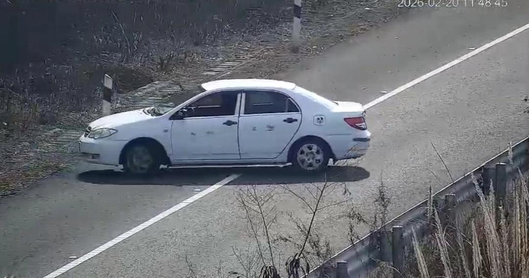 大年初四，拉着老婆孩子高速逆行，这男的在想啥？

刚刷到条新闻，看得我血压都上来