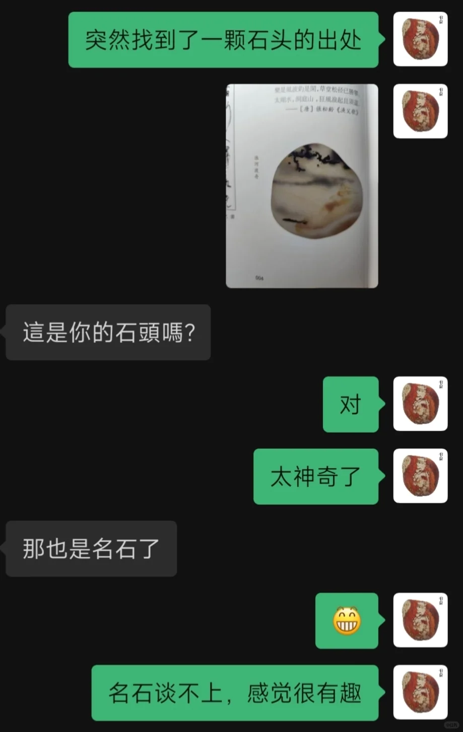 居然在书上看到了我的石头？！