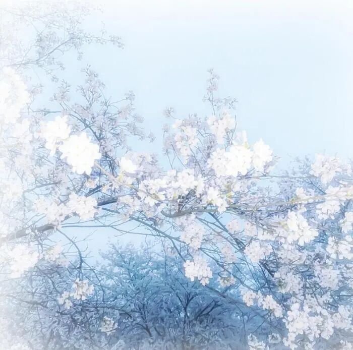 蓝色系背景图 | 水色系背景图 | 浅色系背景图 | 低饱和背景图 | 现代风背