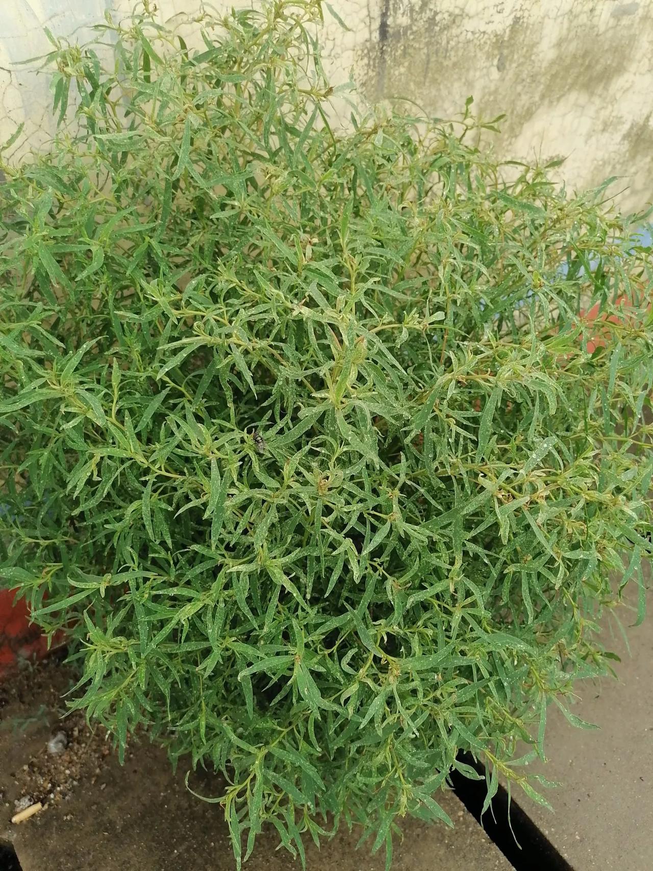 “怕别人笑话”是最大的笑话