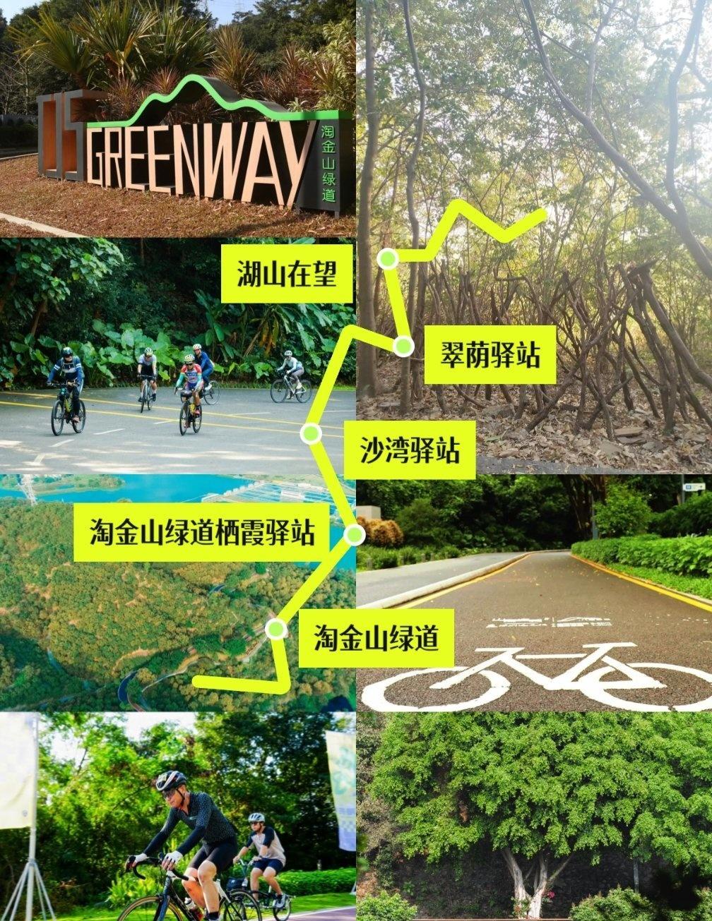 深圳骑行：淘金山绿道
🚵淘金山绿道
1️⃣沿线分4个主题段，设13个观景点，景