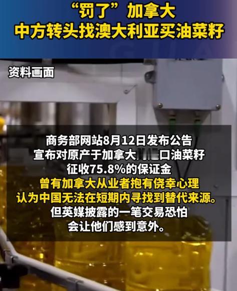 “不卖中国，还不能卖别人？全世界就中国吃菜籽油？”就在中国宣布对加拿大油菜籽征收