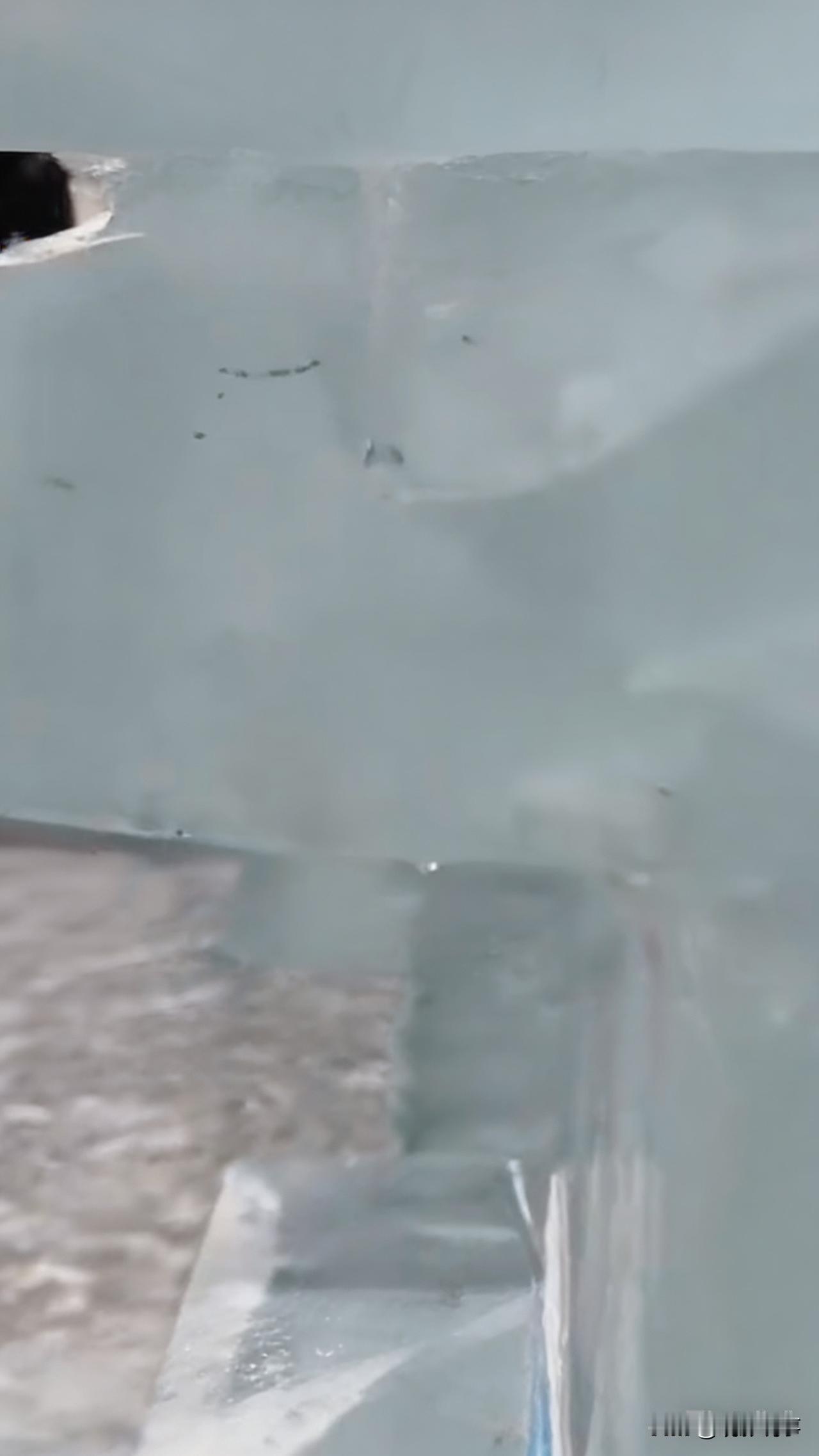 12月19日，哈尔滨迎来了一个不同寻常的日子，气温攀升至3.8℃，刷新了历史同期