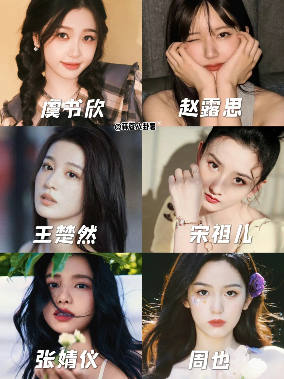 敲黑板‼️95🌸认脸图鉴安排啦👀
