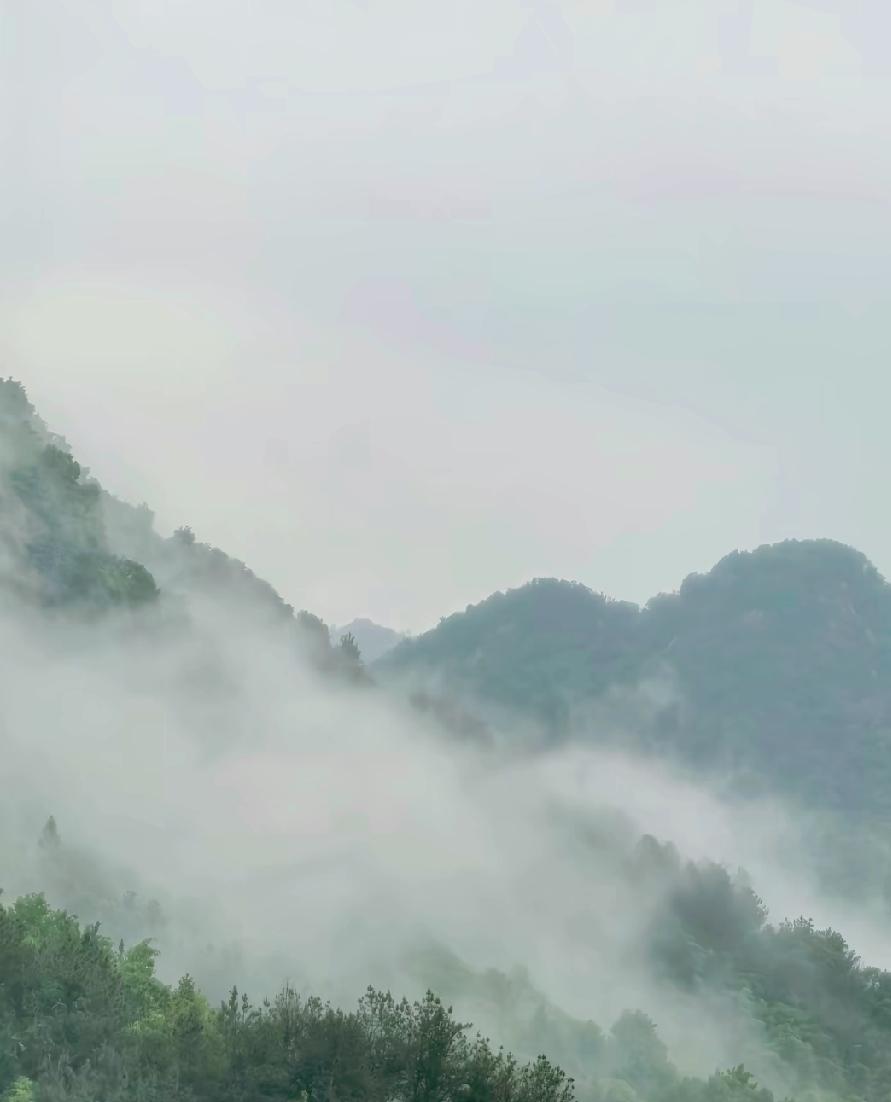 ：）
曾仕强老先生说：“对一个人最好的怀念，是让自己活得有价值，让他人因你的存在