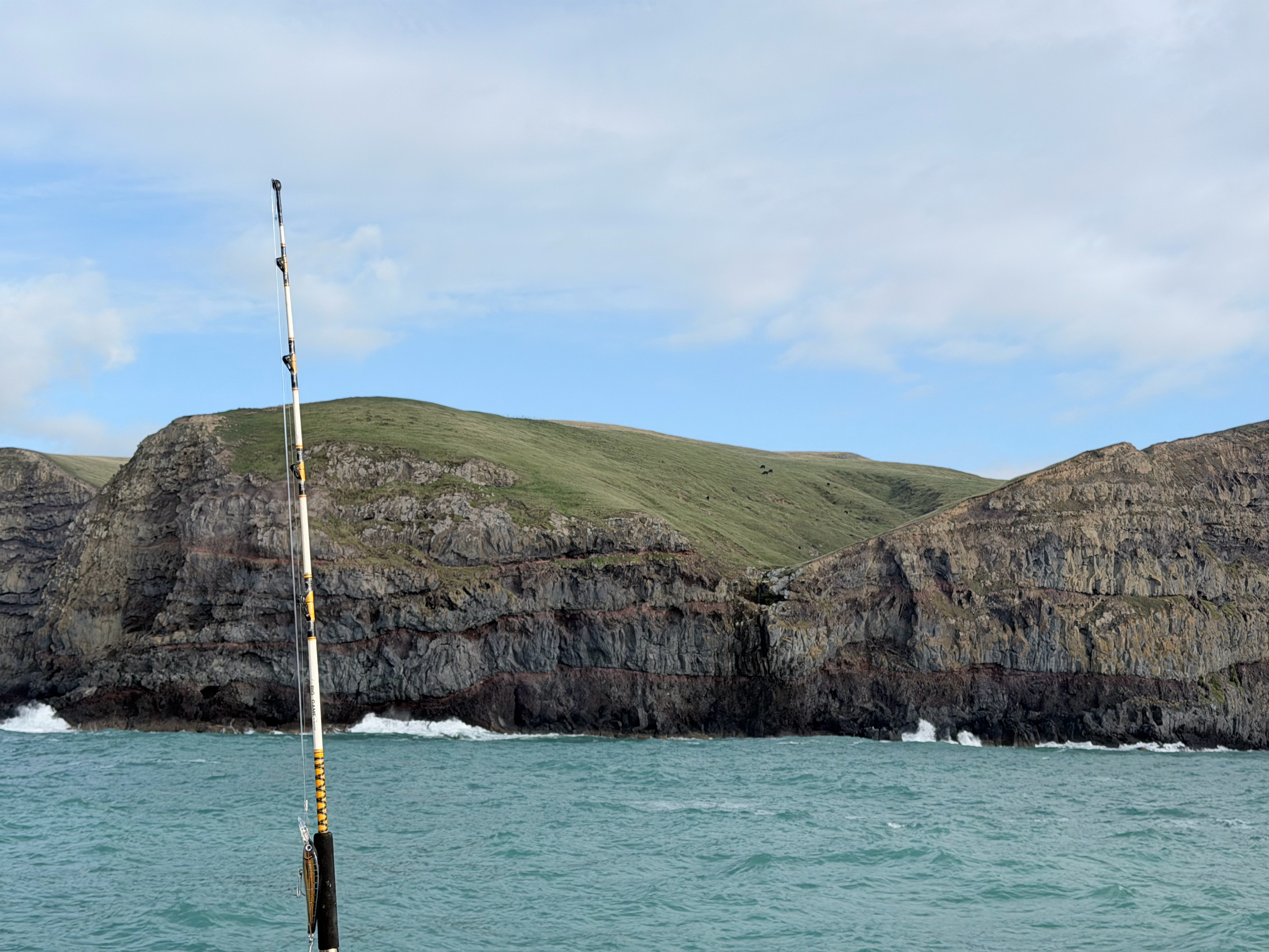 今天一早出去海钓，钓了4个小时回来之后真的巨困全家睡觉我就很喜欢谁在这个充满阳光