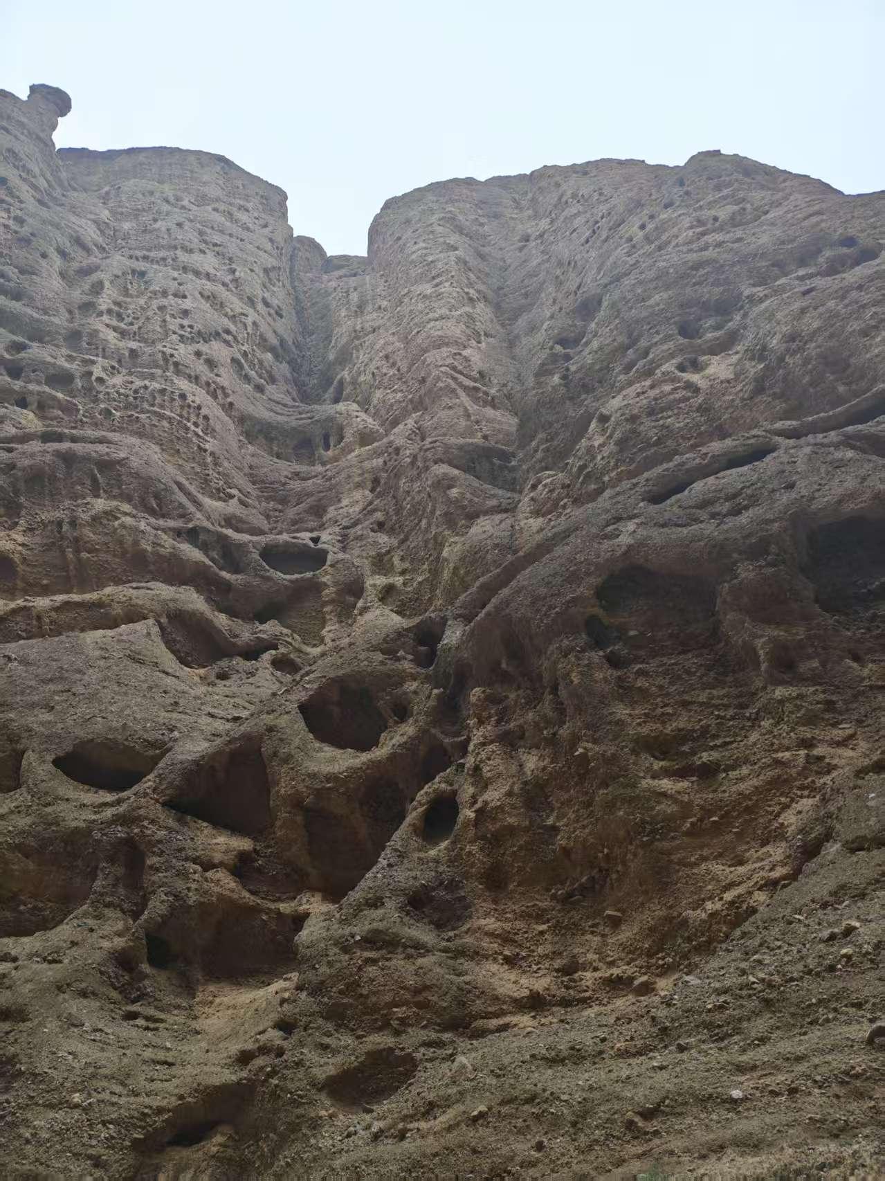 中午和老爸打电话， 老爸得意的说，家里的果子全收了，梨有四百来斤，枣有两百多斤，