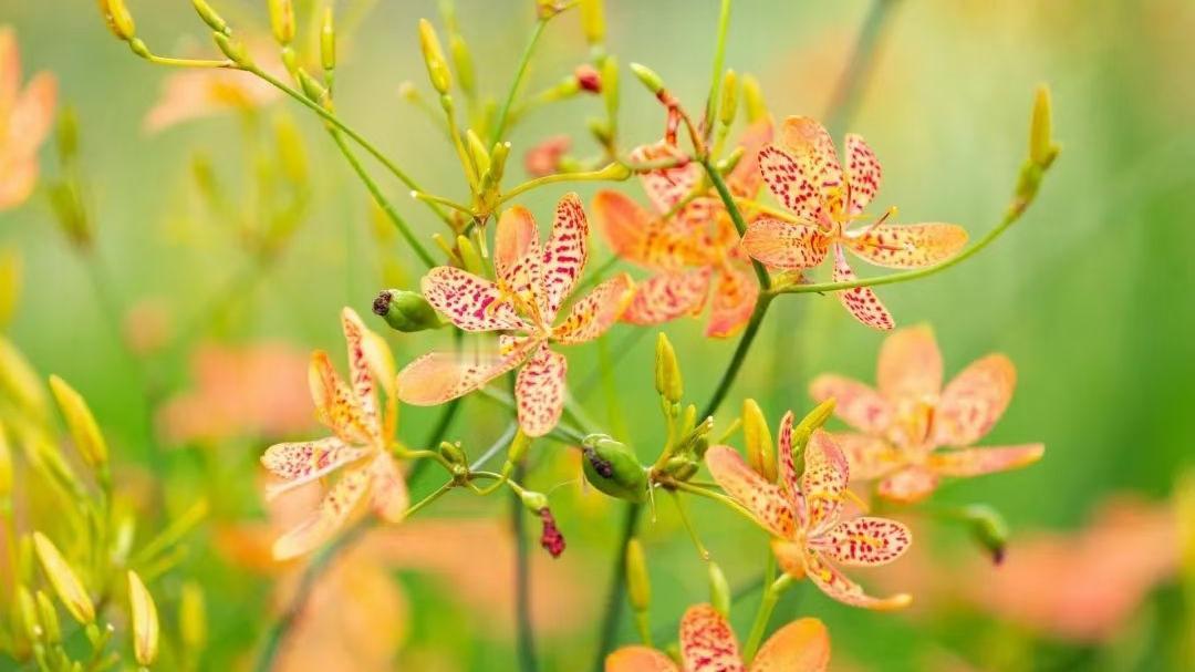 在这个春雨绵绵的午后
听暖暖的歌    想暖暖的事
晦暗的陋室
顿时一片明媚晴朗