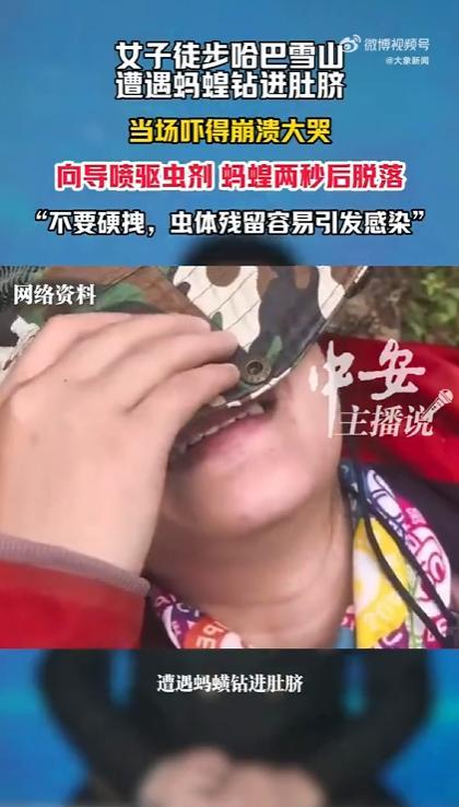 女子在云南徒步时，突然发现蚂蝗正在钻肚脐，当场吓得崩溃大哭，向导喷完驱虫剂后蚂蝗