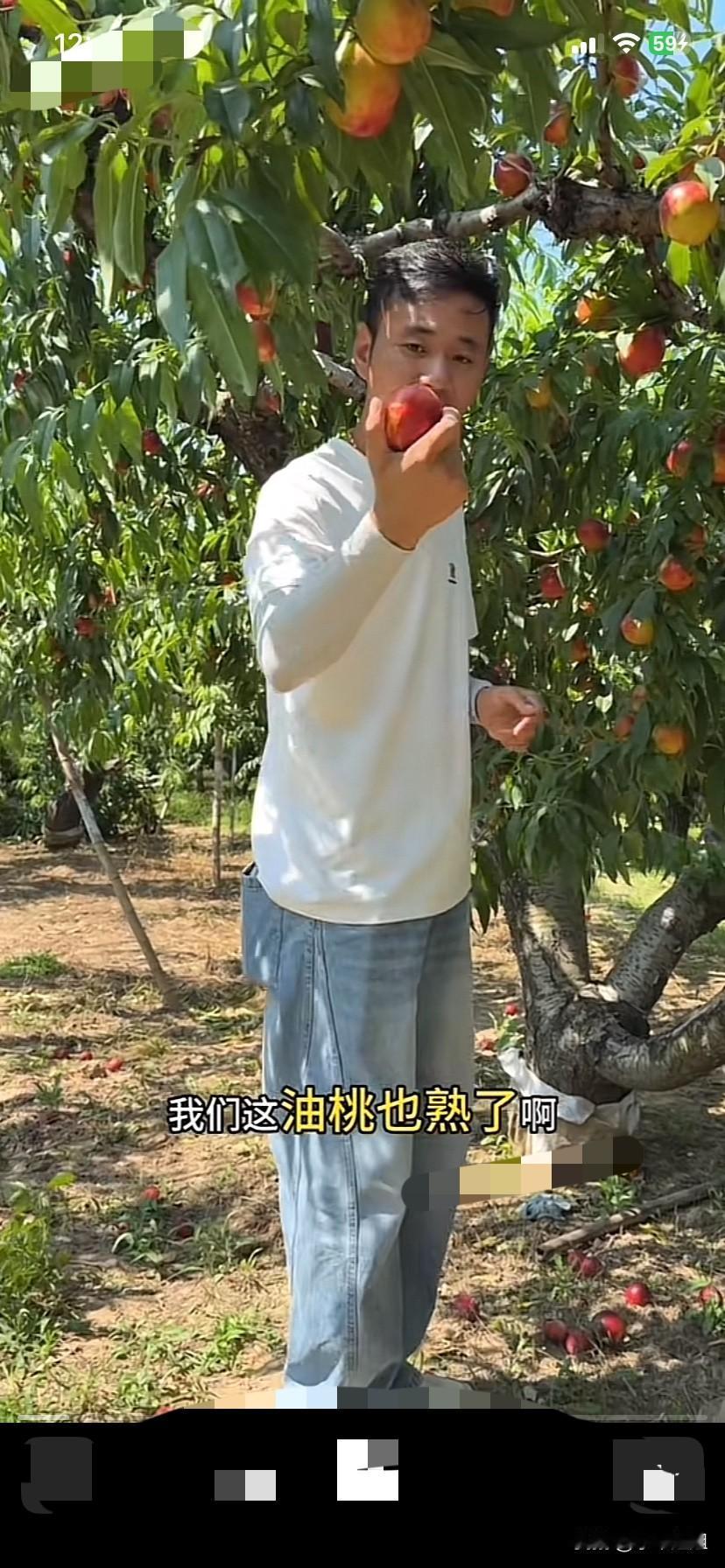 厉怀远一点没有理会林丽放出来的录音！
就像什么事也没有发生一样！
今天又去了桃园
