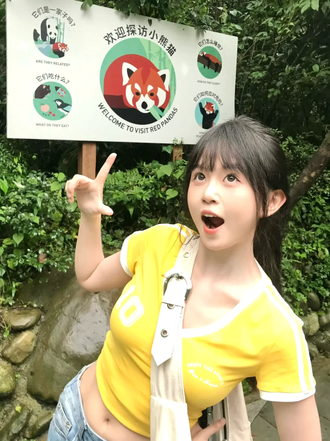 ZOo 🐼来探访小熊猫啦🐾