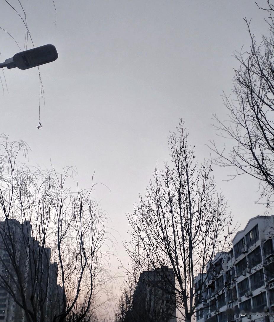 不同意，如果人的命天注定，那还拼搏什么，躺平不就好了，省事的很。
这种带有消极色