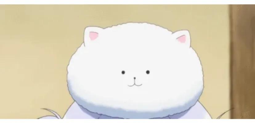 她是一个好人，但我突然很厌烦她
终于下定决心把她联系方式删了
她的脾气真的很好，