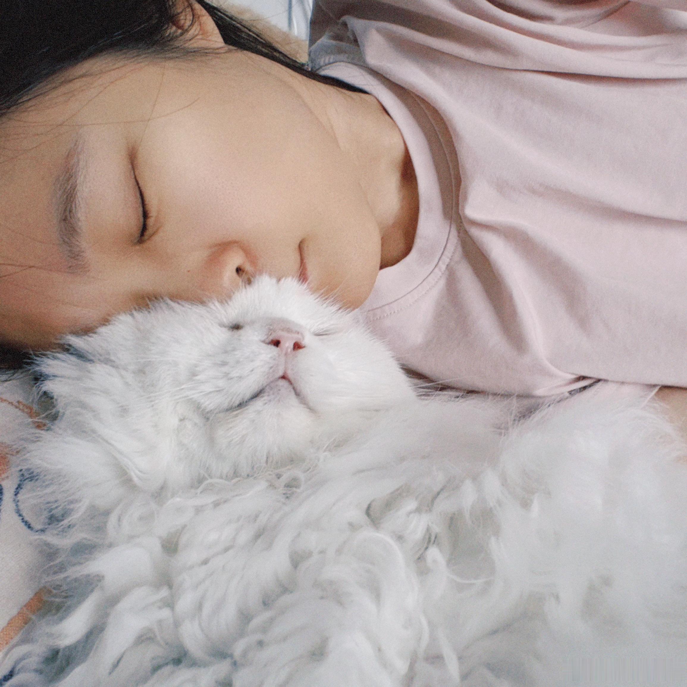 不想起床不想醒来 