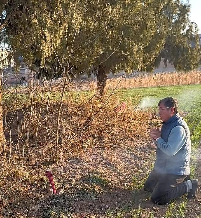 74岁李立群回河南老家祭拜父亲和大娘，李立群父亲的坟墓就是一个小土堆，杂草丛生，