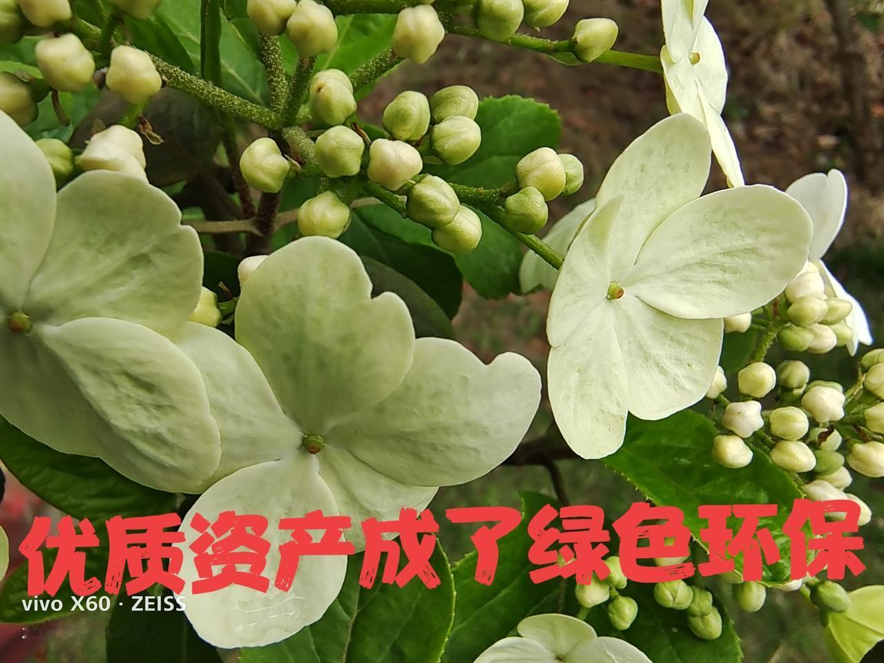 大盘从启动初期到现在已经涨了千点之多，现在固定在4000点上反复的上下震荡。
在