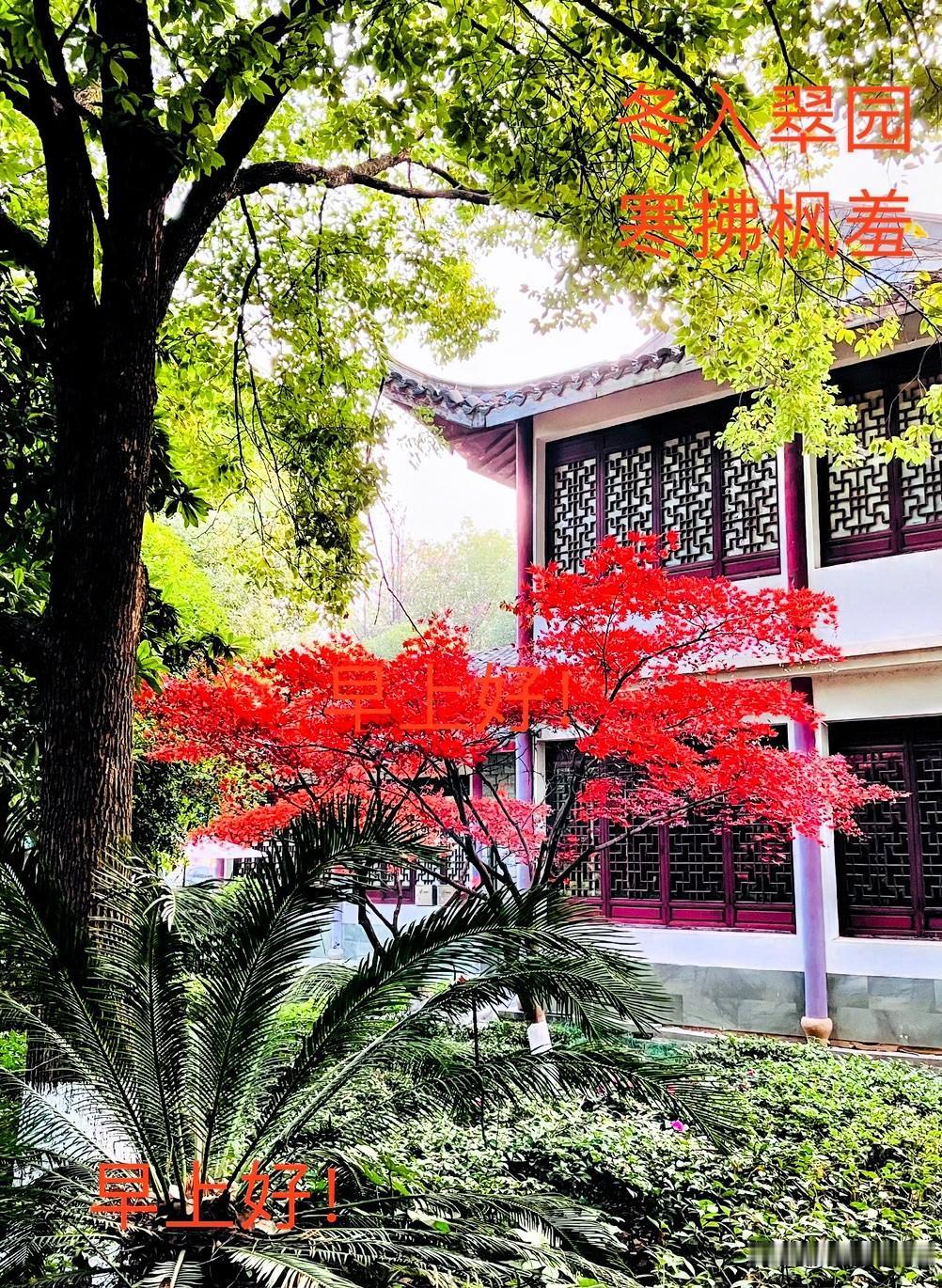 分享一张最近随手拍的照片