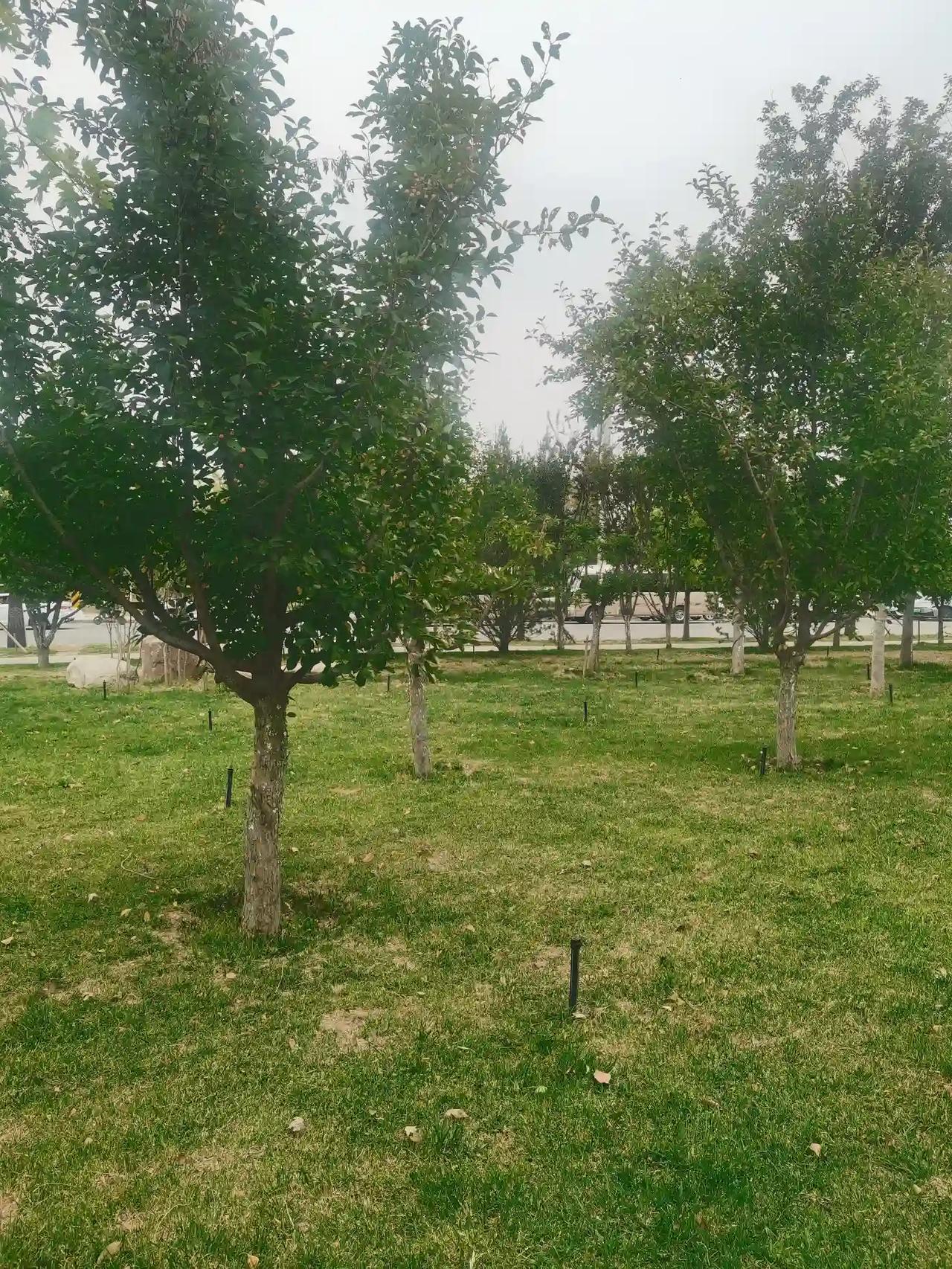 时光如梭，国庆7天假期一晃而过，还没感觉到假期的温馨，就又投入忙碌的工作之中。