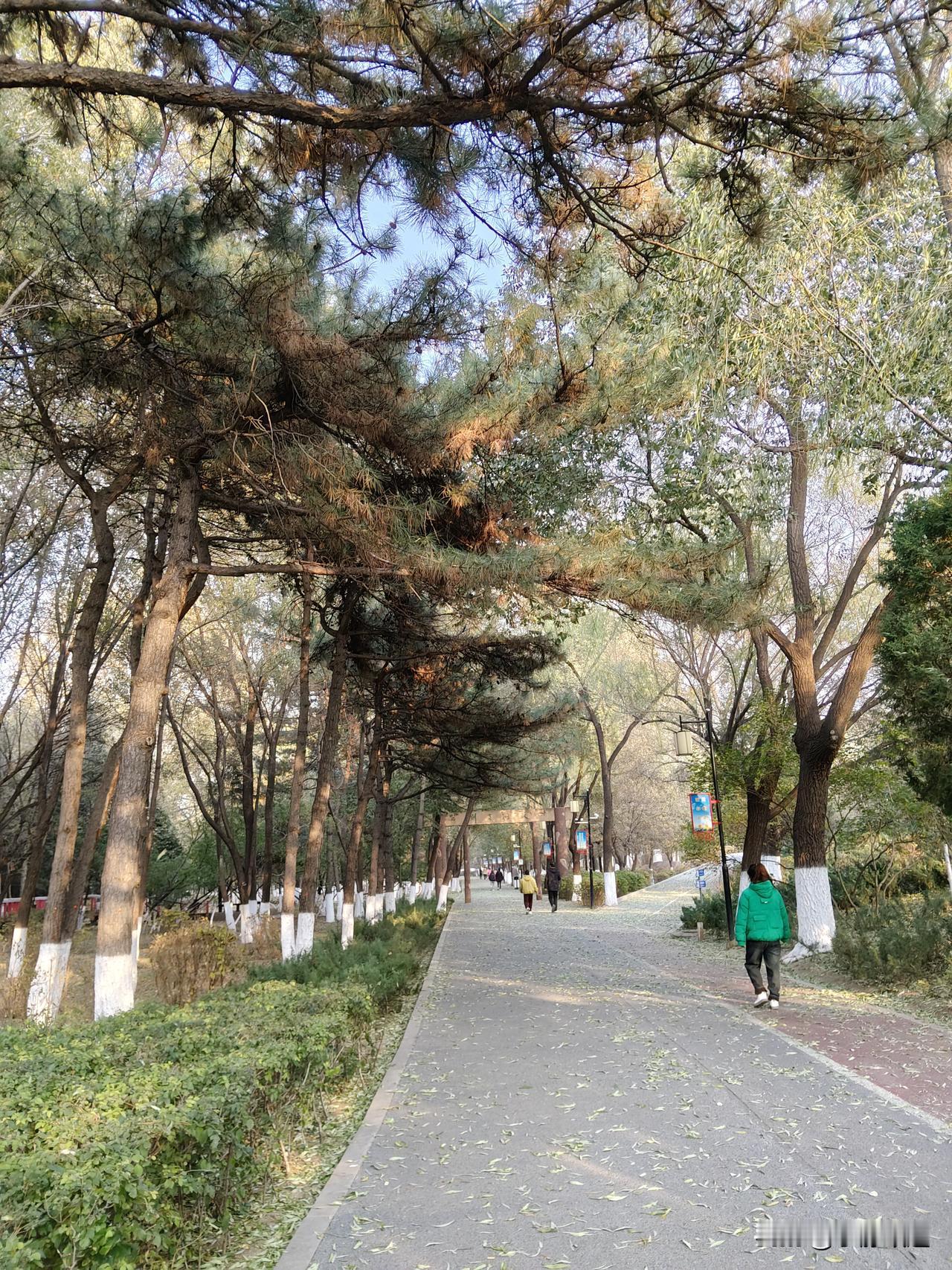 退休是人生一个特别的转折点，忙忙碌碌几十年，突然从岗位上退下来，许多人会感到一种