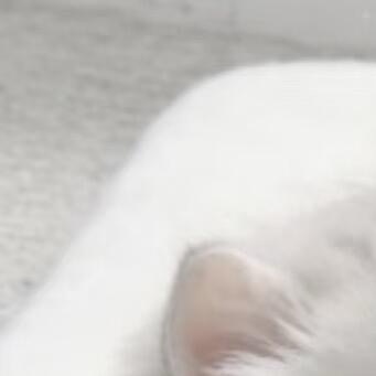 善良是春日里的和煦微风，善良是炎热夏日的清凉饮品，善良是秋日收获的喜悦，善良是冬