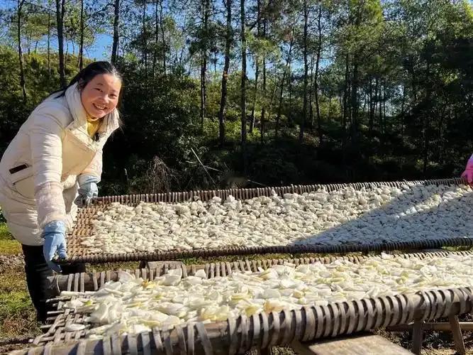 现在正是腌制萝卜干的季节，老家这边家家户户都赶着好天气忙着腌制晒干。
往年家属在