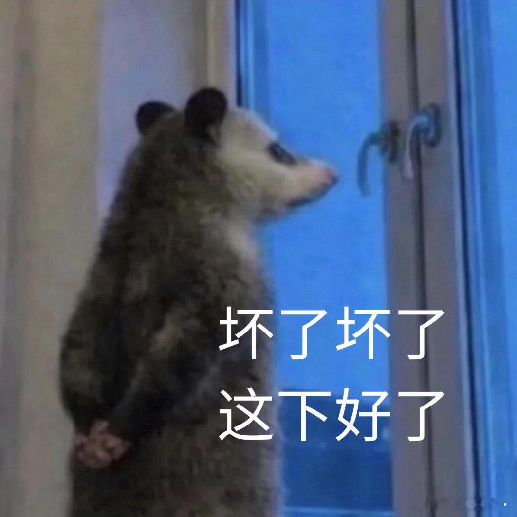 我和缺水木的根本对不齐信号📶说了也白说，说了不如不说，没在一个频道接在一个系统