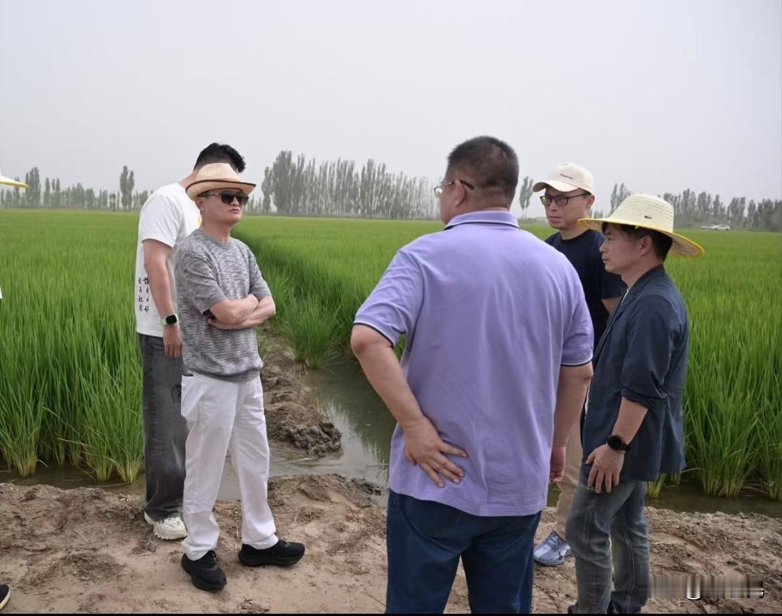 有人在甘肃看到马云了，马云还是很关心农业和农村的，这个领域也是当下最需要科技赋能