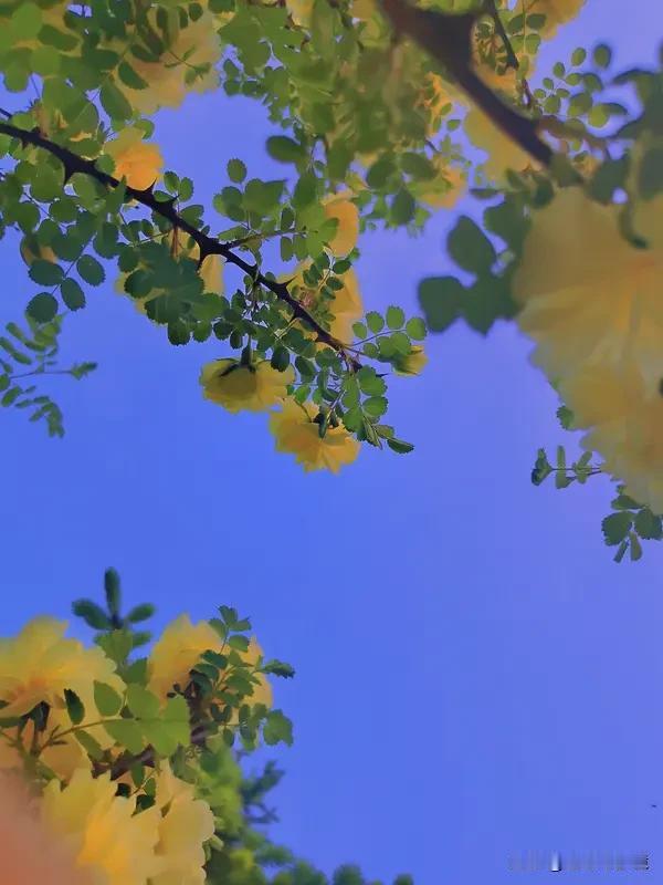 幸福是在平凡日常中，珍惜当下，与爱人相伴，做热爱之事，内心安宁满足。就像农民看到