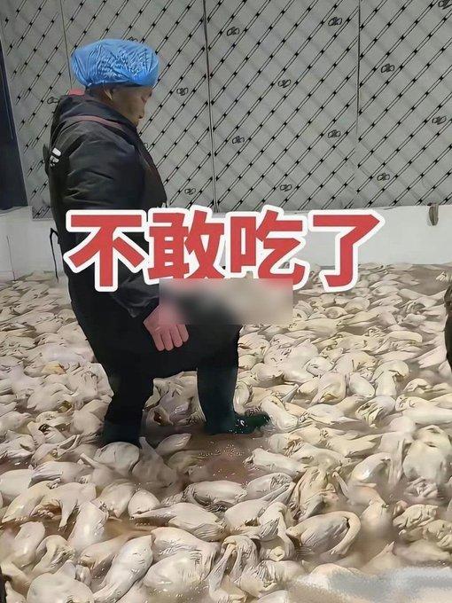 看到这张图，真的瞬间破防。
车间里工人穿着胶鞋，直接踩在成堆的冻白条鸭上，血水混